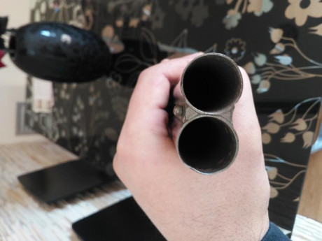 Buenas tardes,
Hace unos dias adquirí una escopeta de perrillos y me he dado cuenta que tiene un cañón 01