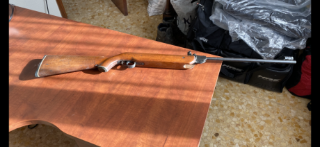 Hola buenos  días 
Vendo dos carabinas de aire una Gamo y una Norica.....las dos 150 euros ( portes a 10