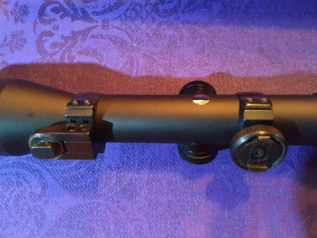 Buenas tardes.

Me he decidido a renovar el visor que lleva años puesto en mi rifle. 
La idea es poder 01