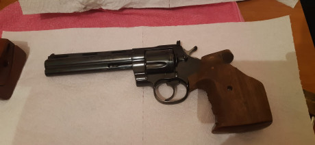 Muy buenas
Vendo Colt Python 357, con tres juegos de empuñaduras anatómica mediana original y una de lujo.
700 00