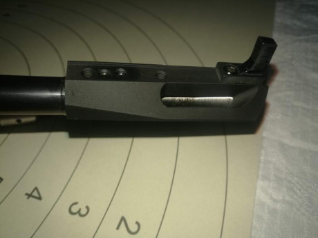 Mg5 E. Pistola libre disparador electrónico.

Pistola libre, por no poder practicar está modalidad por 121