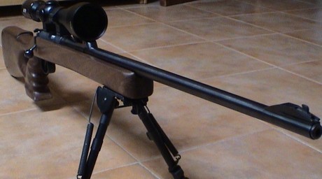 Hola a todos/as:
Quisiera iniciarme en el tiro de precisión con carabina del calibre 22. Tengo una del 100