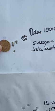 Bueno, para animar el foro un poco, propongo colgar fotos de dianas y arma usada para ello, pudiendo ser 160