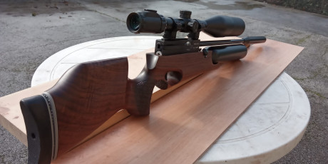 Bueno, para animar el foro un poco, propongo colgar fotos de dianas y arma usada para ello, pudiendo ser 21