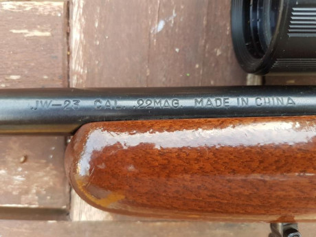 Vendo Carabina 22 Magnun con visor. En perfecto estado de uso tanto el visor como la carabina. Sólo algunas 01