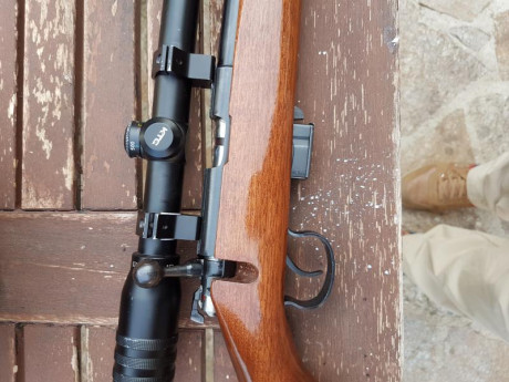 Vendo Carabina 22 Magnun con visor. En perfecto estado de uso tanto el visor como la carabina. Sólo algunas 00