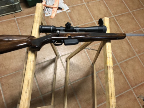 Buenas tardes
Al final me he decido a vender  este magnífico rifle Tikka ,lo compre por un capricho, pero 20