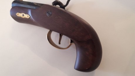 Buenas noches,

Vendo pistola Ardesa Derringuer Philadelpia sin uso, totalmente nueva, se compró y ni 31