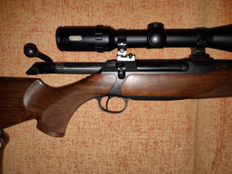 Vendo rifle Sauer S202 en 300WM con visor TASCO Titan 3-12x52 y monturas Apel desmontables, el arma se 01