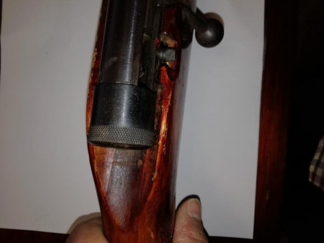 Buenas noches a todos
Tengo una TOZ 17-01 comprada en subasta que quiero restaurar.
Pues bien, me estoy 01