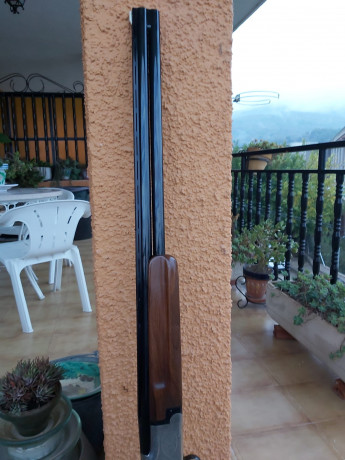 Vendo escopeta Laurona trap, ideal tiro al plato, cañones ventilados 76cms, choques fijos estrellas **/*, 01