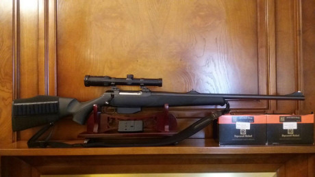 Rifle: Sauer 202 con culata de polímero, muy pocos disparos. 
Calibre .375 H&H magnum.
Sin salir al 01