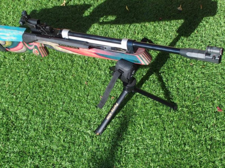 Dispongo de una carabina de competición, en el mejor estado de precision y potencia, la Anschutz 2002 00