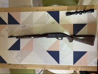 Vendo carabina Remington Nylon 66, con visor 4x32, suficiente para este arma.
El arma se encuentra en 12