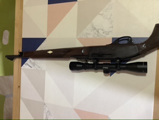 Vendo carabina Remington Nylon 66, con visor 4x32, suficiente para este arma.
El arma se encuentra en 21