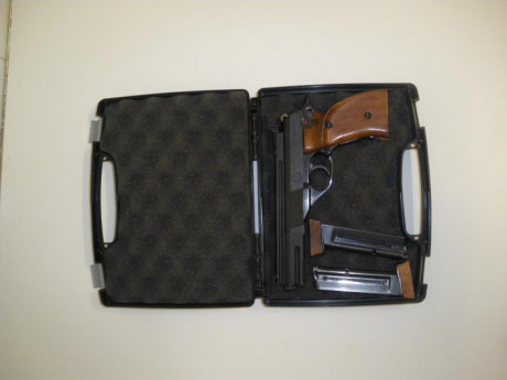 Vendo ts 22 en perfecto estado. Voy a quitar armas y quedarme sólo con una. El precio es de 100 €. 2 cargadores 02