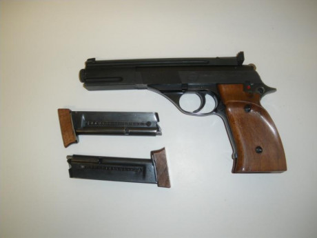 Vendo ts 22 en perfecto estado. Voy a quitar armas y quedarme sólo con una. El precio es de 100 €. 2 cargadores 01