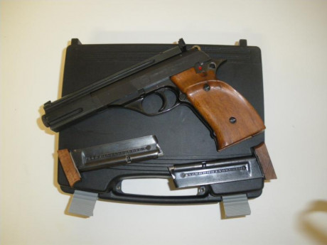 Vendo ts 22 en perfecto estado. Voy a quitar armas y quedarme sólo con una. El precio es de 100 €. 2 cargadores 00