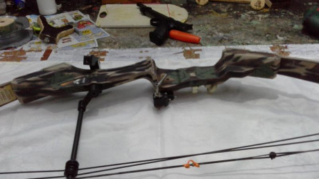 Arco de poleas golden eagle predador  29 > 32, 60 libras, cables acero y cuerdas de dacron , es un 20
