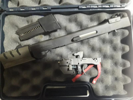 Pistola Walther GSP EXPERT con dos dos carros el 22lr y 32WC, viene con los dos maletines originales, 12