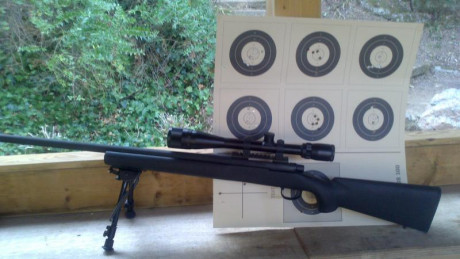 Vendo Remington 700 Police 308w

Visor Bushnell Banner 4-24 y Bípode Harris incluido en el precio (se 01