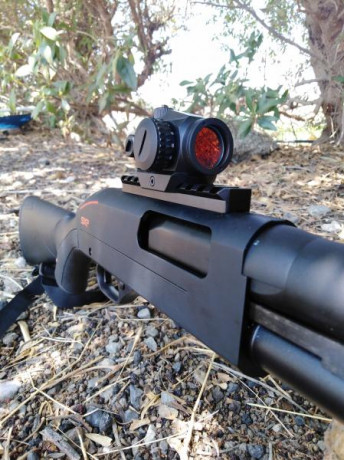 Alguien con un aimpoint s1 montado en una escopeta? Me estoy planteando montar 1,por problemas de salud 60