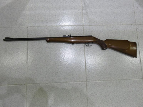 Vendo carabina .22 Gaucher.
Con su cargador.
Precio 100€.
Vaciando armero.
Gastos aparte.
Saludos

VENDIDA!! 00