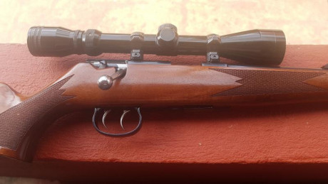 Buenos dias.  Lo dicho. Aqui os dejo descripción,precios. Y donde las tengo guiadas. Las armas estan en 20