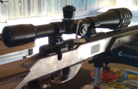 Vendida  retirar de la venta ....Por cambio de modalidad,  se vende CULATA DE ALUMINIO carabina  WALTHER 00