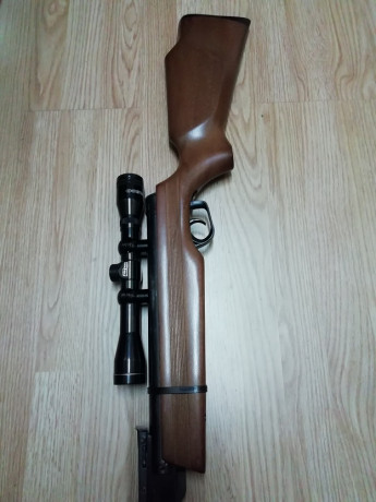 Hola, necesito vuestra ayuda para identificar una carabina GAMO del 5,5 que me acaban de regalar. Llevo 01