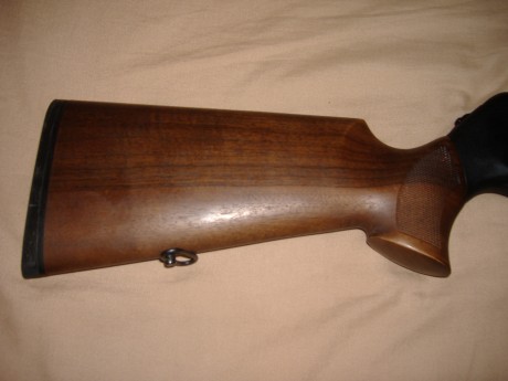 Buenas, tras mirar en mil foros de compra-venta, me he decidido por adquirir un rifle nuevo con las garantías 80