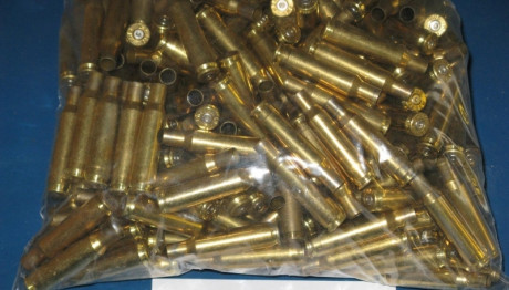 Vainas 222 remington, marca RWS, un disparo, conservan fulminante original, se encuentran cerca de Valencia.

Precio 00