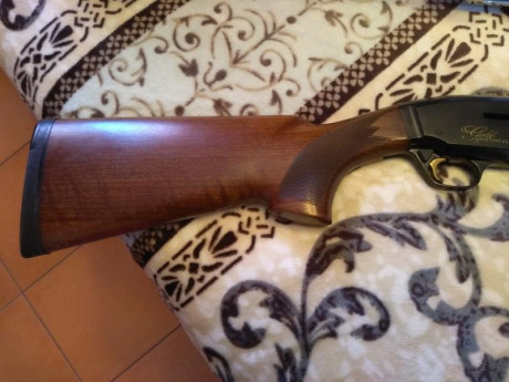 Buenas a tod@s , pues con muchas dudas pongo a la venta mi polivalente Browning Gold sporting clays , 00