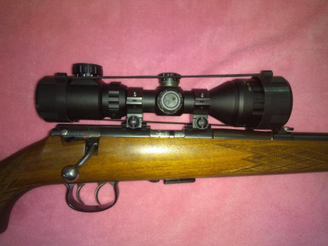 Por competir en otras modalidades de calibre superior y llevar tiempo sin utilizarla, vendo por 550 €, 01