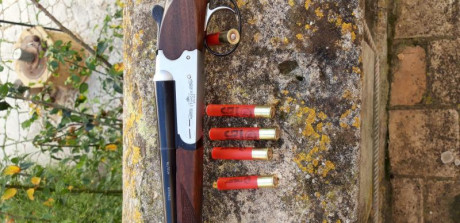 Se vende paralela Stinger en calibre 410 Magnum.  Ideal para iniciarse o puesto de la perdiz. Escopeta 01