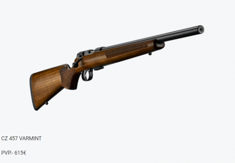 Buenas tardes

hace tiempo que vi este rifle
https://www.youtube.com/watch?v=c-qSNJJnoqA


Y me dejo perplejo, 20