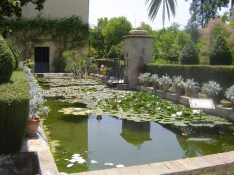  No se a vosotros, pero a mi los castillos me encantan.
Cuando paso delante de alguno no pierdo oportunidad 02