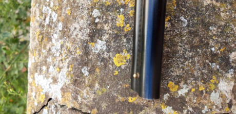 Se vende paralela Stinger en calibre 410 Magnum.  Ideal para iniciarse o puesto de la perdiz. Escopeta 20
