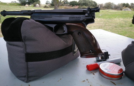 Buenas a todos!

Me gustaria comprar una pistola para latear a unos 10metros máximo(dentro de un corral), 20