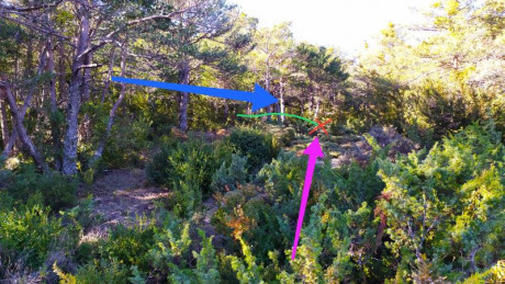 Alguien  sabe si entre cañones de 56cm y 61cm  longitud el comportamiento de un cartucho actua igual en 120