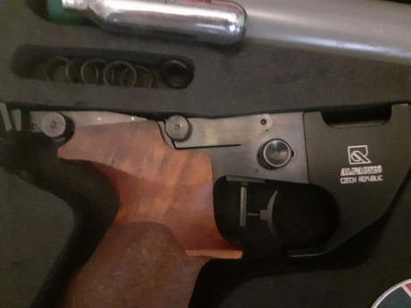 Me interesa este modelo de pistola en principio en co2. Si es de PCP tb puedo pensarlo. Por supuesto bueno, 10