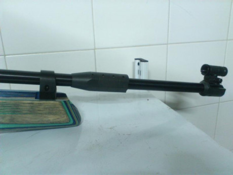 VENDO 
 ANSCHUTZ COMPRESSED AIR 2002 ----- MUY POCO USADA
LAMINADA. TONALIDADES AZULES
CON DIPOTER CONTRAPESOS 10