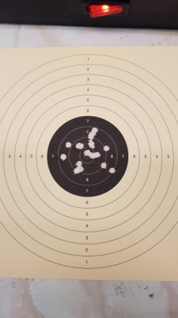 Buenas tardes a todos. Estoy pensando comprar una pistola Weihrauch HW40 para tirar a diana de 14x14 (por 20
