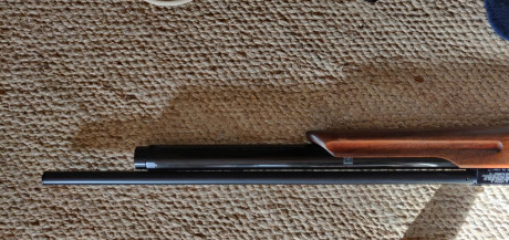 Se vende weihrauch HW100 calibre 4.5, en perfectas condiciones.
Tiene las juntas tòricas cambiadas recientemente.
Precisión 02
