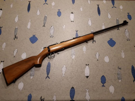 Saludos,

Vendo carabina de cerrojo  Norinco JW15A , calibre .22LR, en estado casi nuevo. Muy pocos tiros, 02