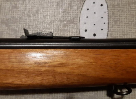 Saludos,

Vendo carabina de cerrojo  Norinco JW15A , calibre .22LR, en estado casi nuevo. Muy pocos tiros, 00