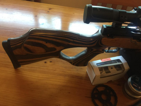 Carabina hw100 en perfecto estado, dos cañones uno corto y otro largo, silenciador weihrauch,visor Bsa 10