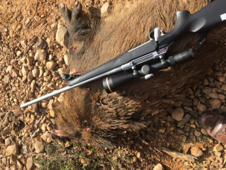 Pues eso, en vuestra opinión cuales serían los mejores rifles de caza que se pueden comprar actualmente 40