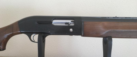 Vendo escopeta segunda mano  BERETTA A 301 
Semiautomática
Calibre 12/70
Muy buen estado
 PRECIO: 300 00