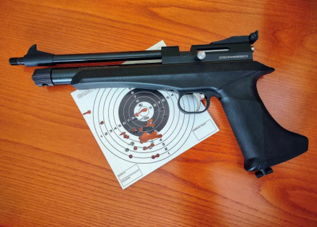 STINGER ARES CO2 PISTOL/CARBINE .22

                                                     “Fiel compañera 100